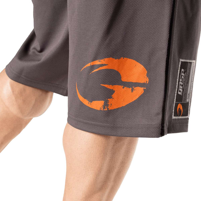 Pro Mesh Shorts